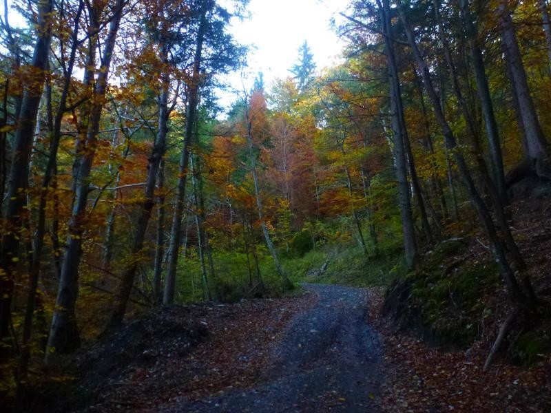 Sur le chemin, en direction de Hauteville