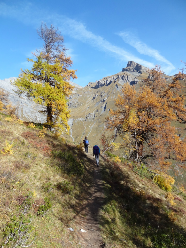 couleur d'automne