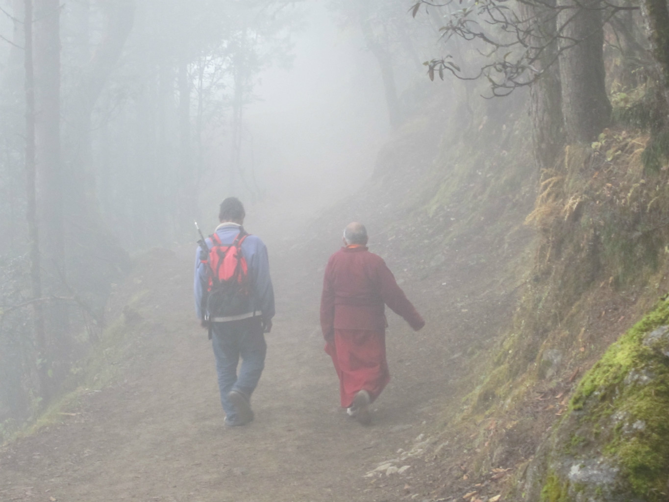 Dans le brouillard