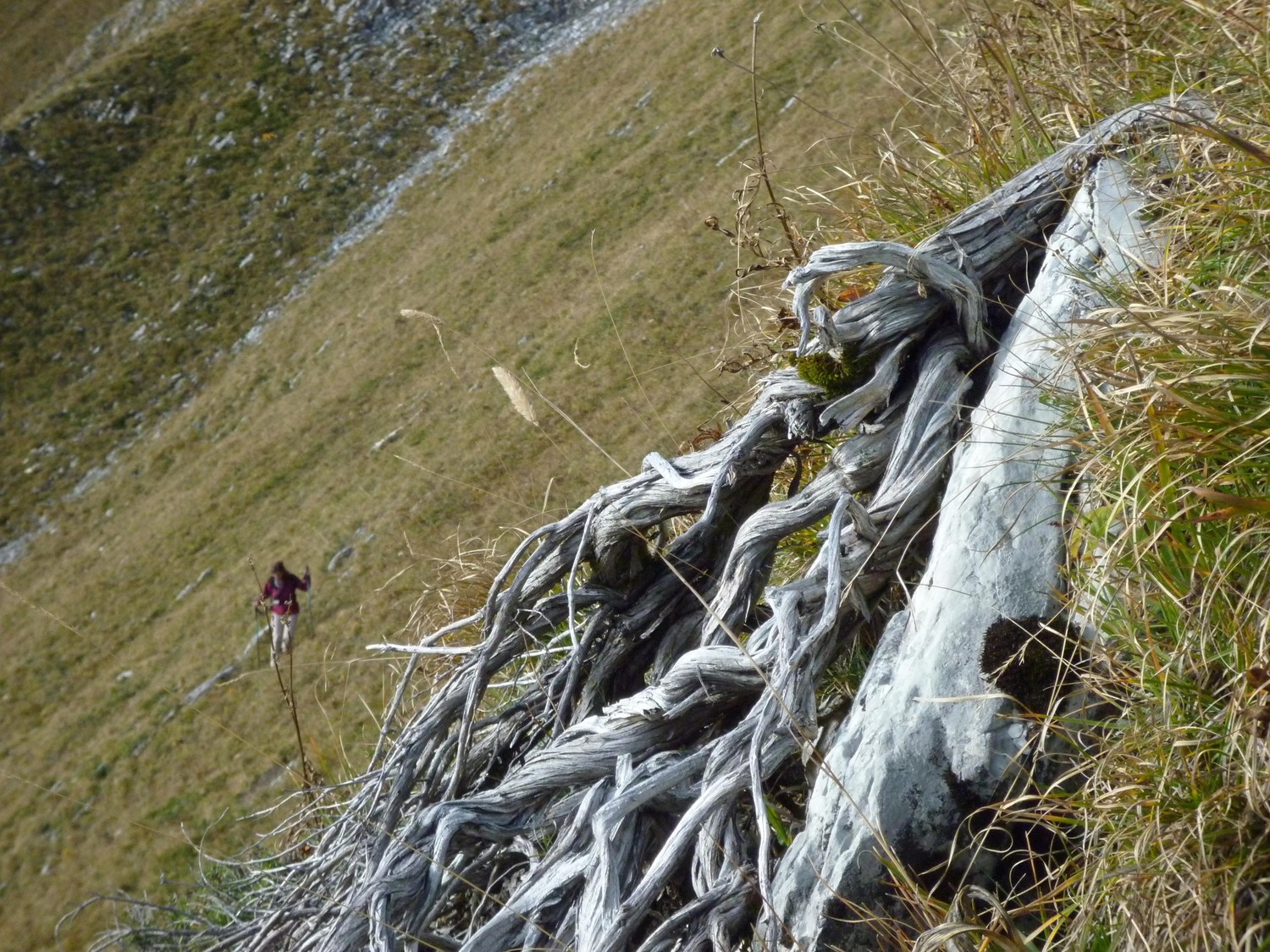 Descente en versant ouest