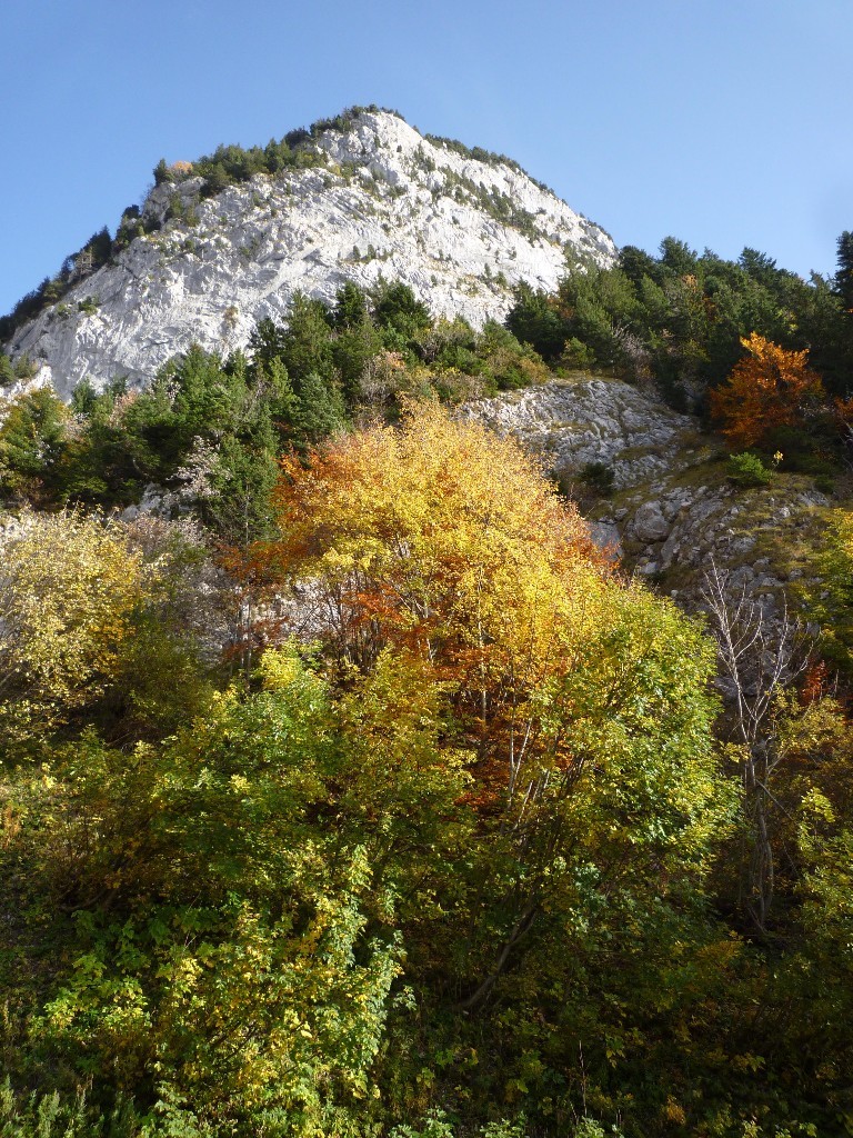 L'automne flambe sous la Beccaz