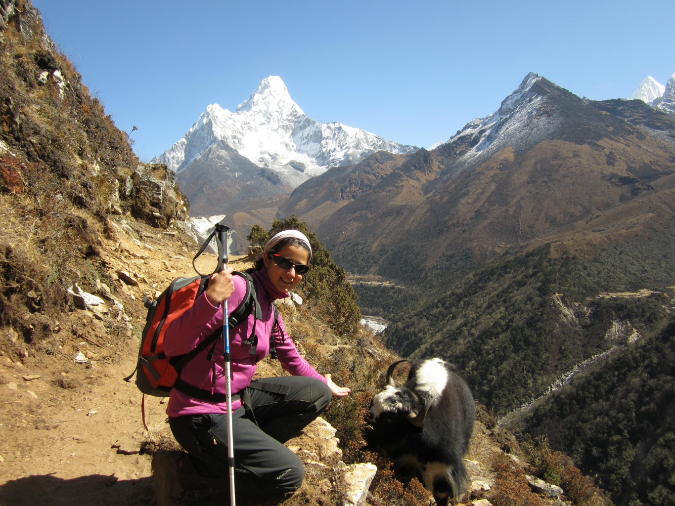 Lavinia et ... devant l'Ama Dablam