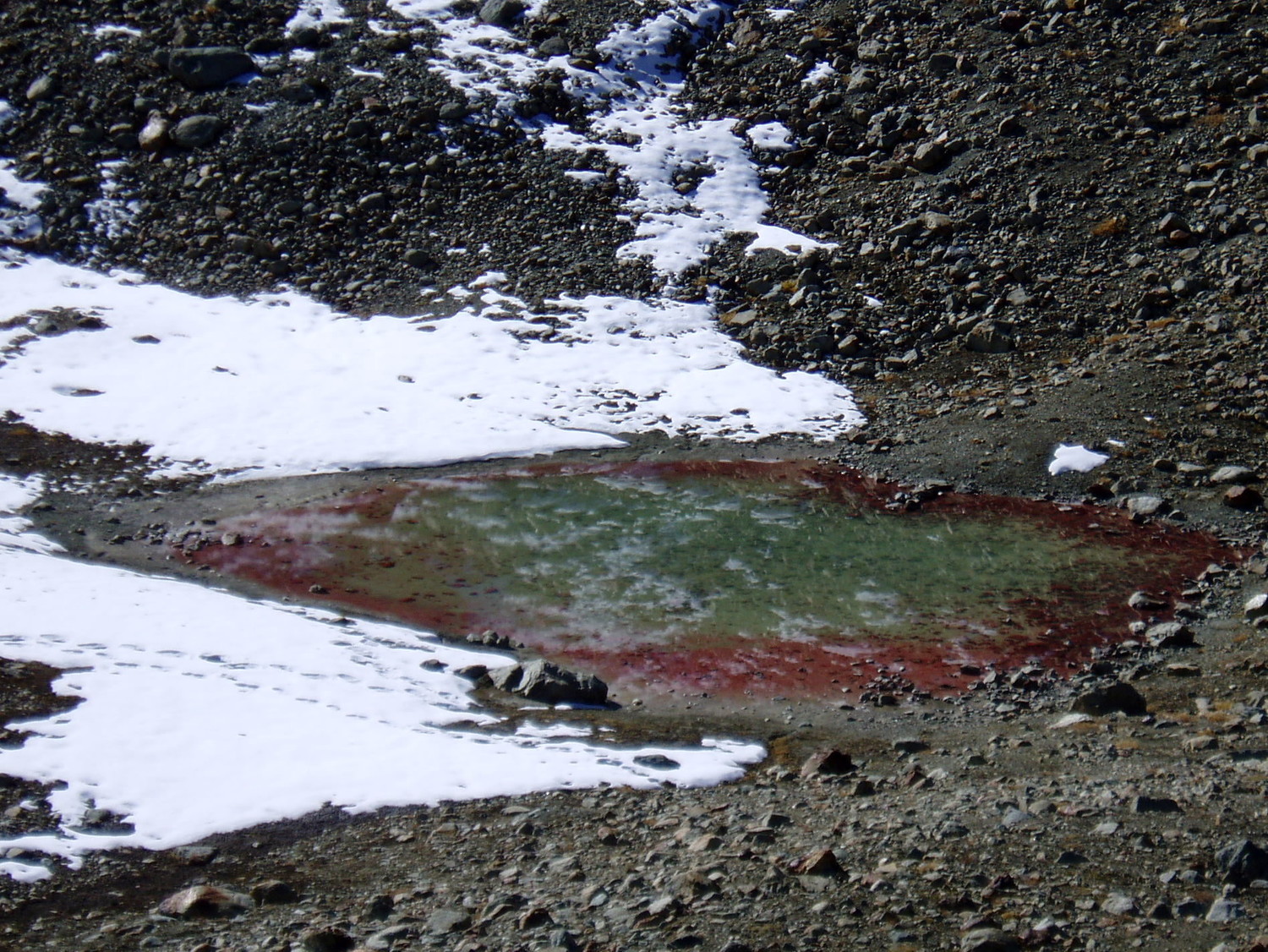 Aux Aiguilles Rouges les gouilles aussi sont rouges