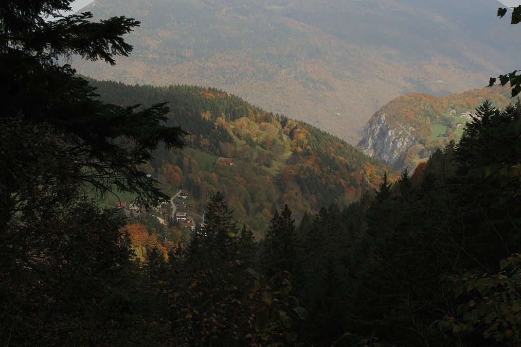 Automne en Chartreuse