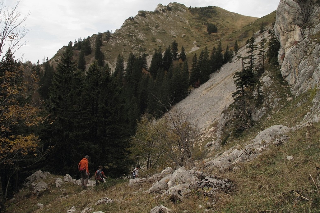 Entre le Habert de Bovinant et le Pas du Loup