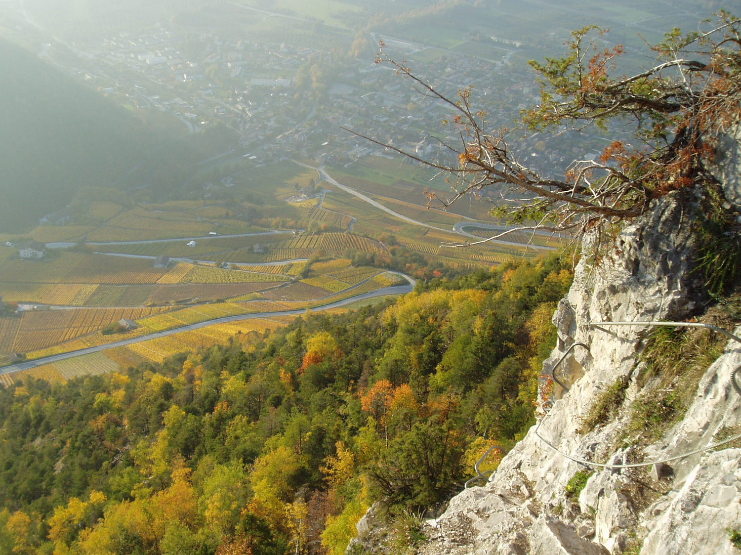 Coteau de Nax et plaine du Rhône éblouie de soleil