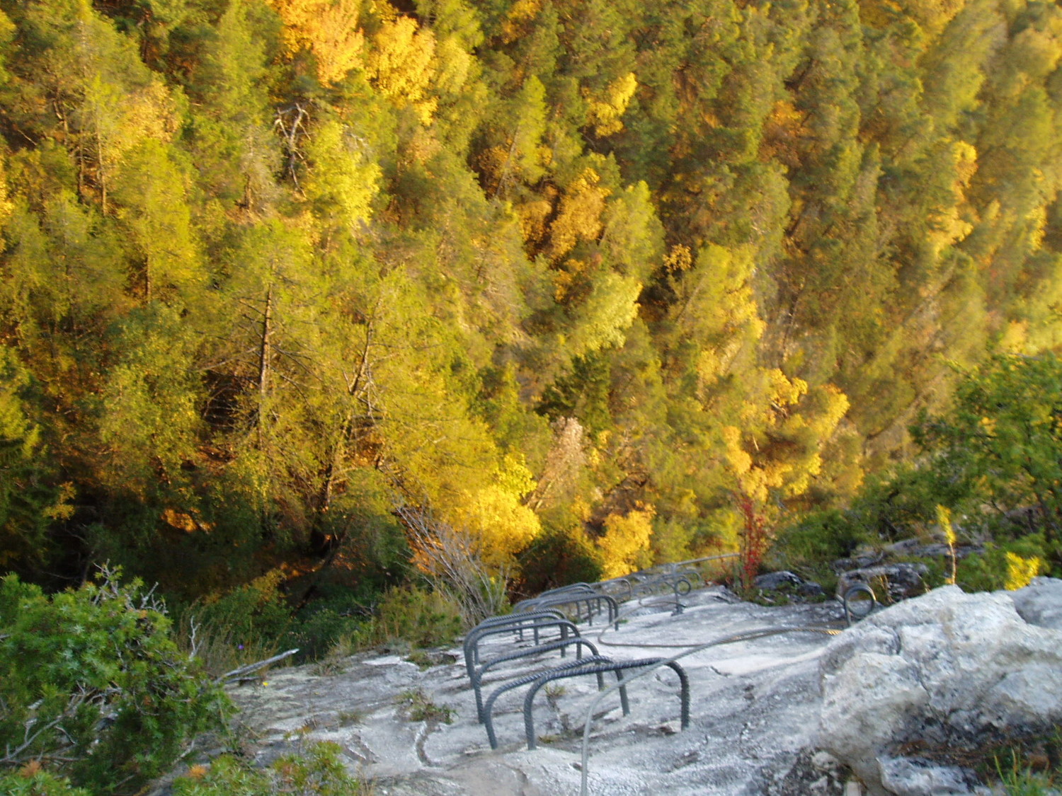 La via semble sortir de la forêt