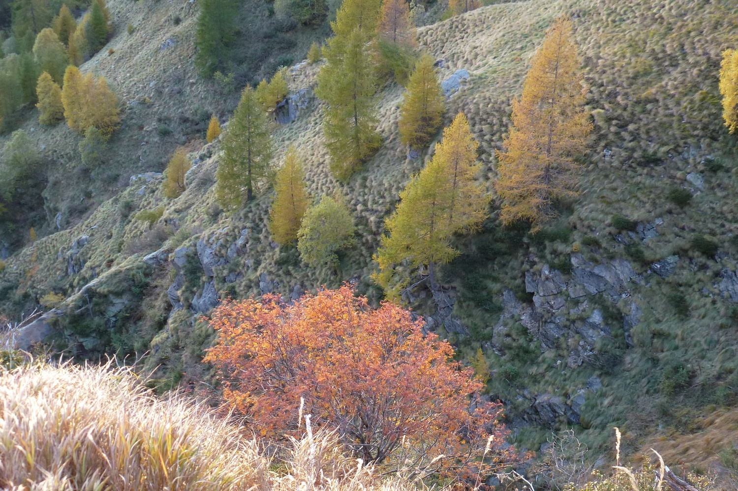 I Colori dell'Autunno