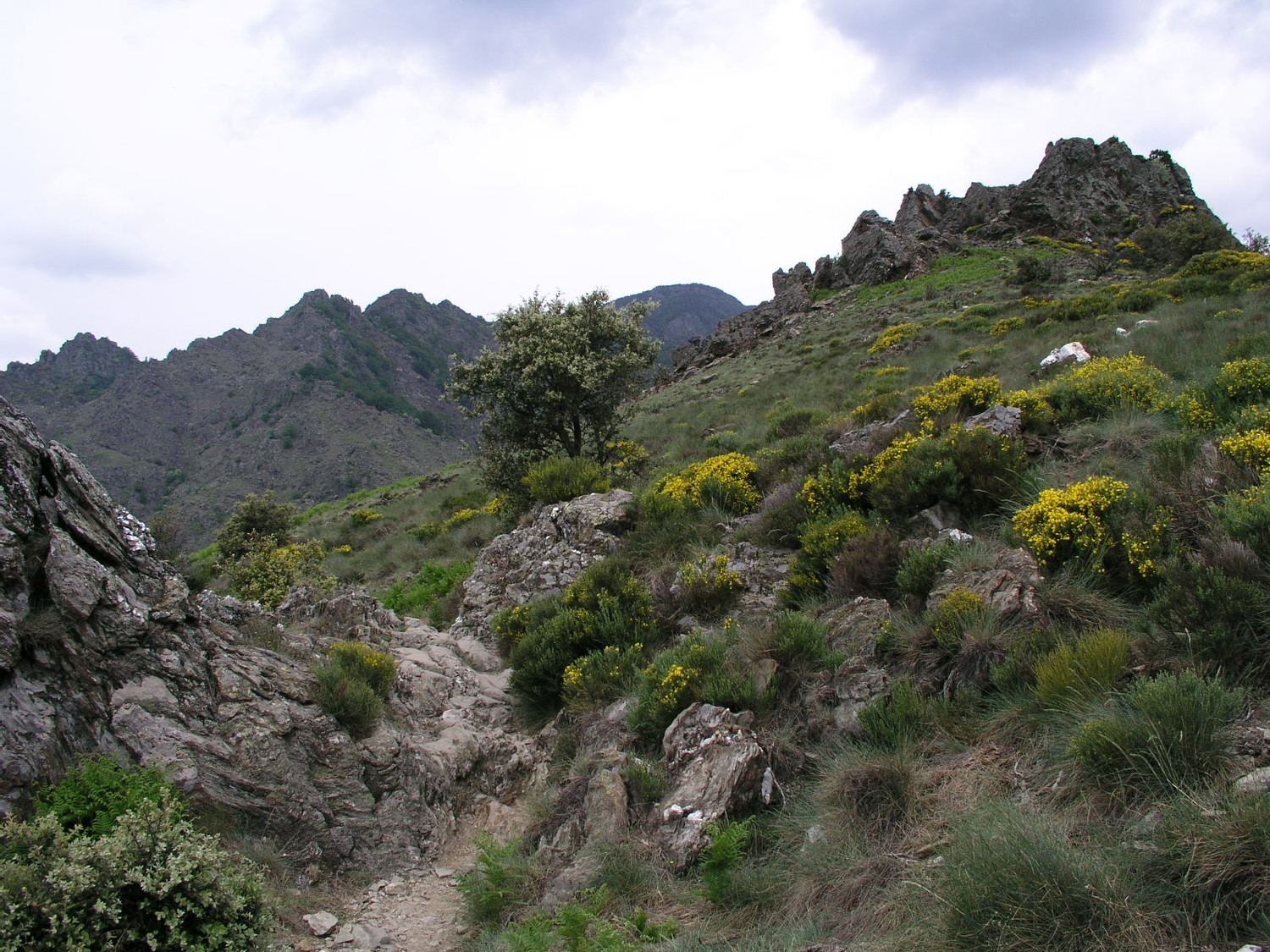 Dans la montée
