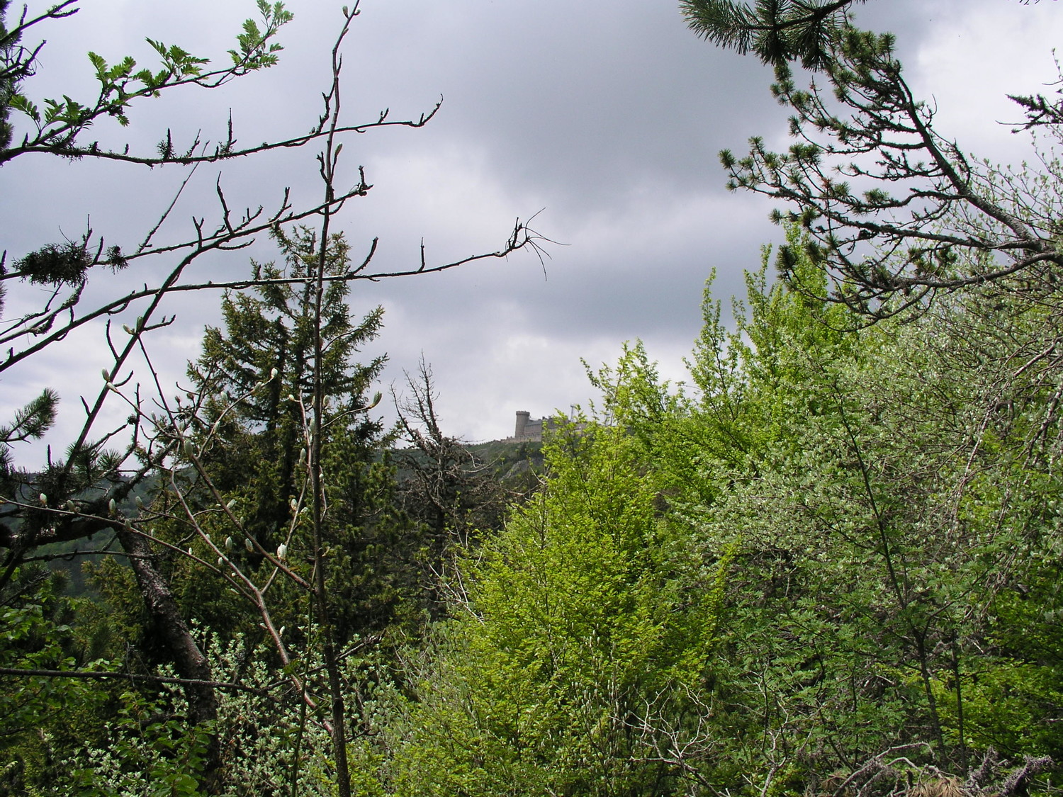 Vue sur l'observatoire météorologique