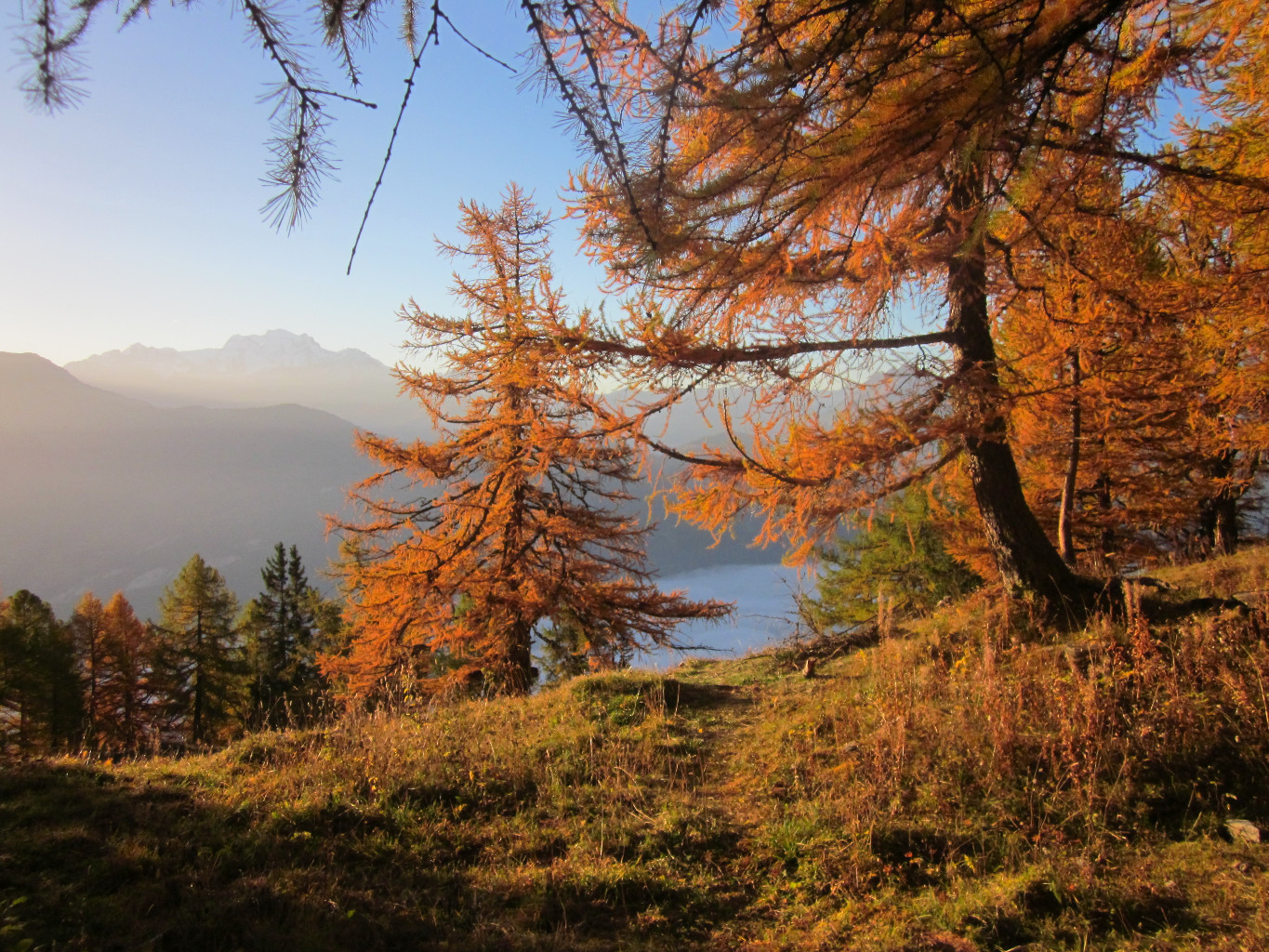 Mer de brouillard, depuis le sentier de la cabane Sorniot