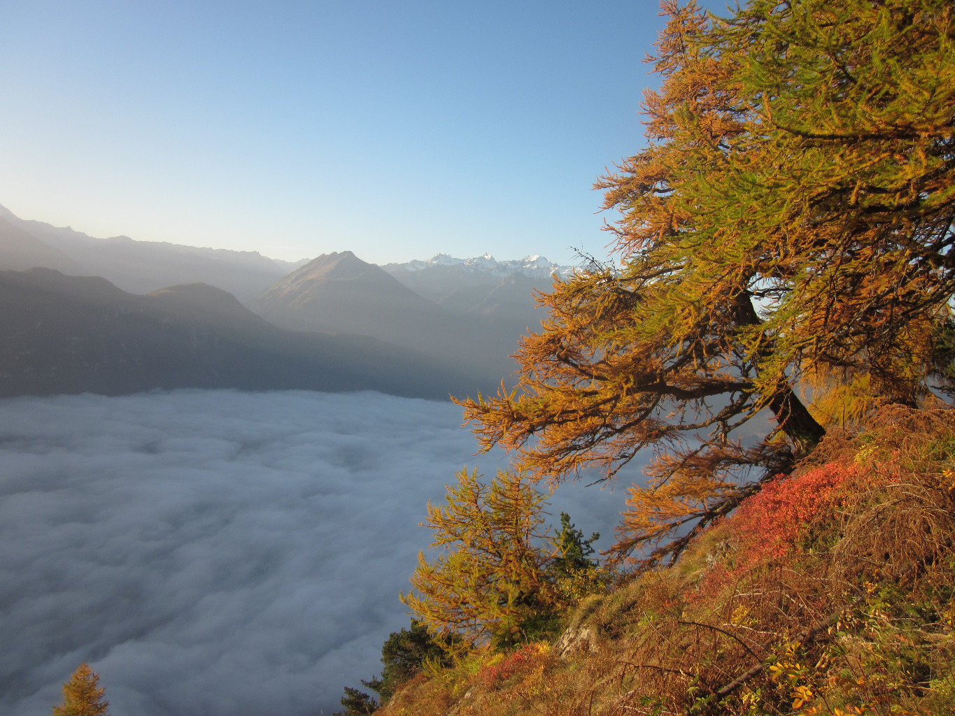 Mer de brouillard, depuis le sentier de la cabane Sorniot