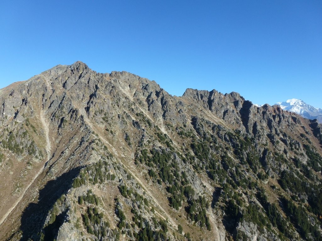 Versant S du Catogne