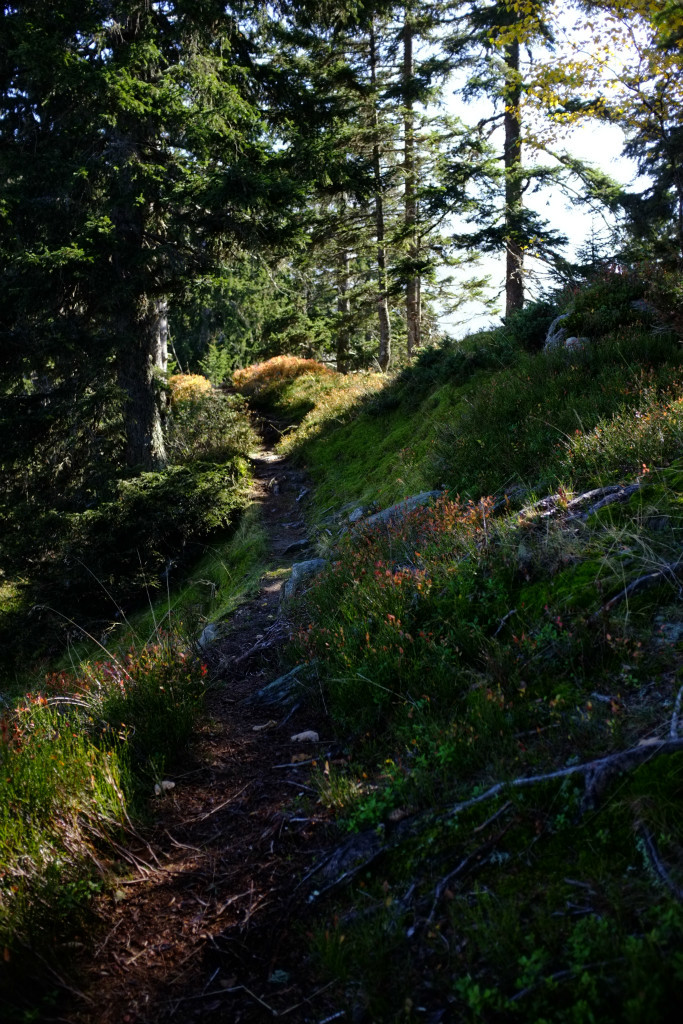 arête de l'Evêque