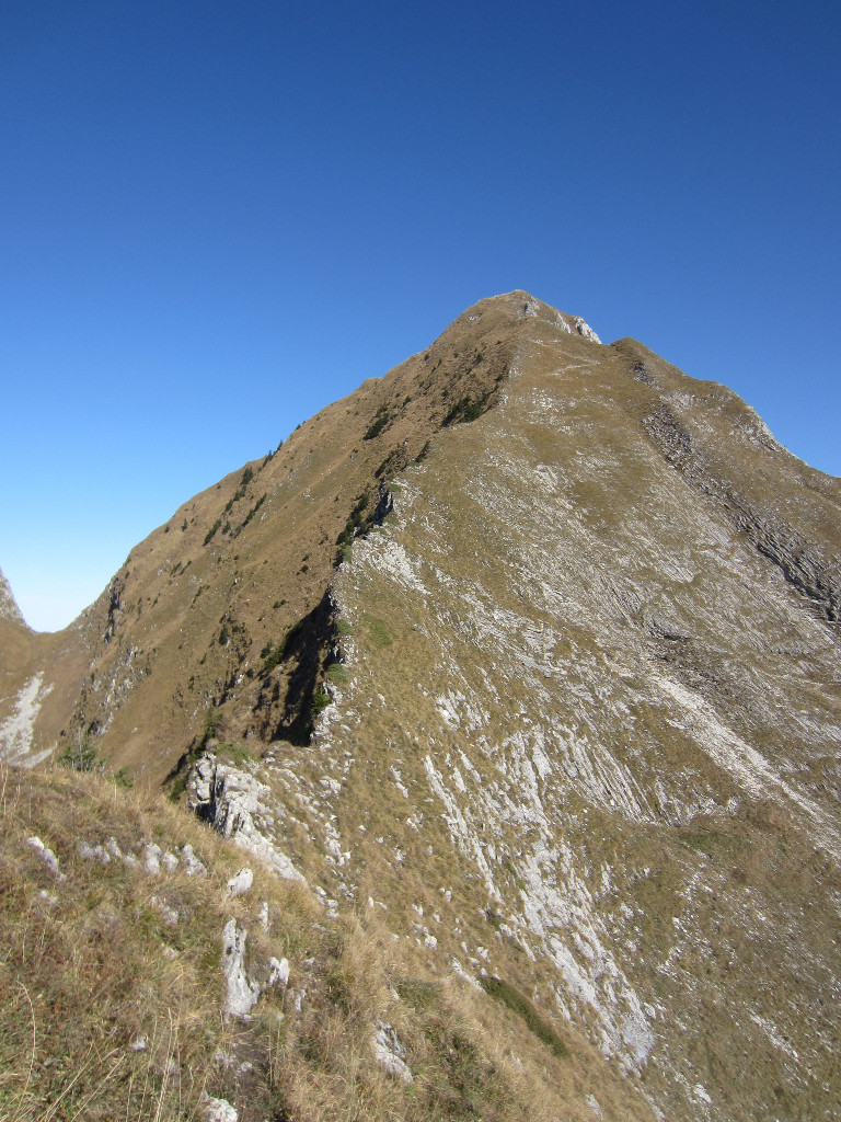 Arête SO qui mène au sommet du Vanil d'Arpille