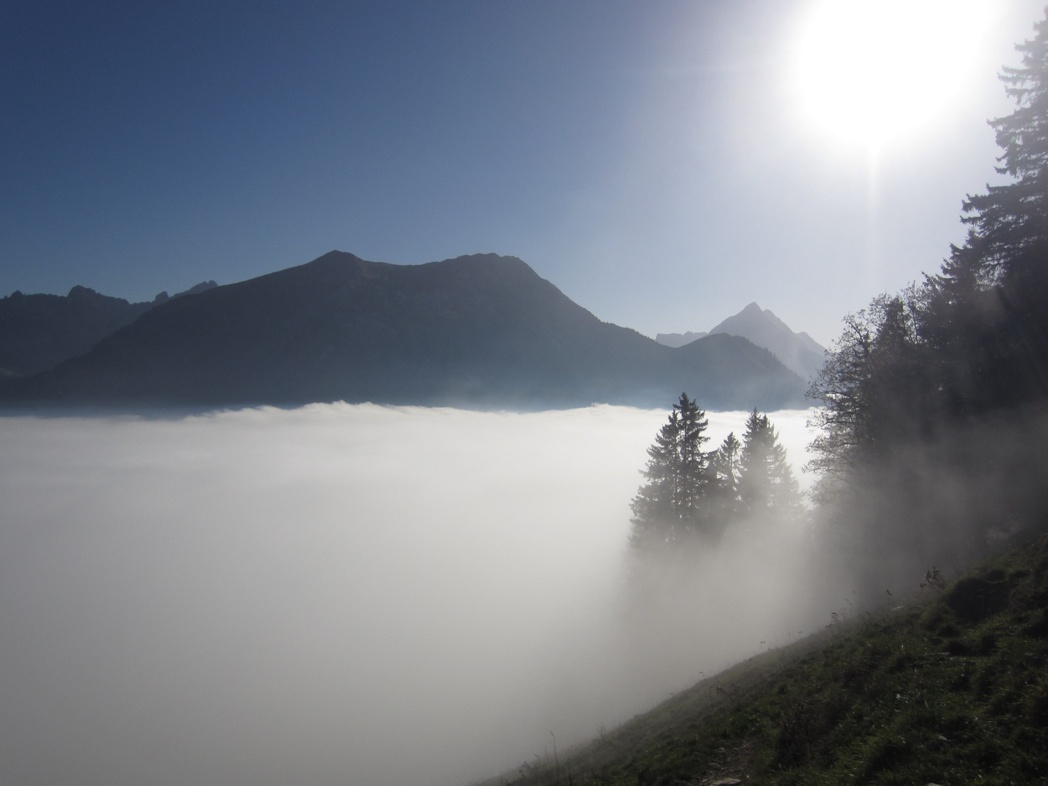 avant de passer sous le brouillard