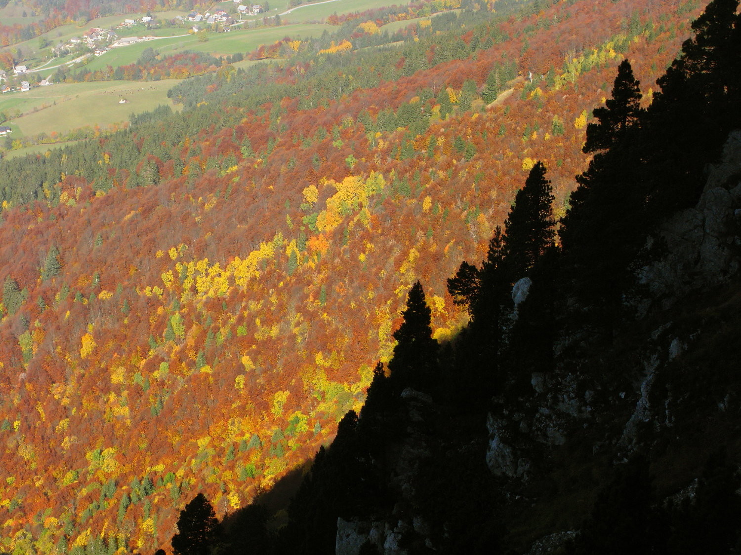 Automne