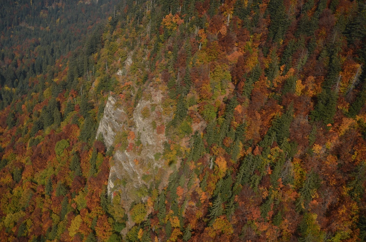 Couleurs d'automne