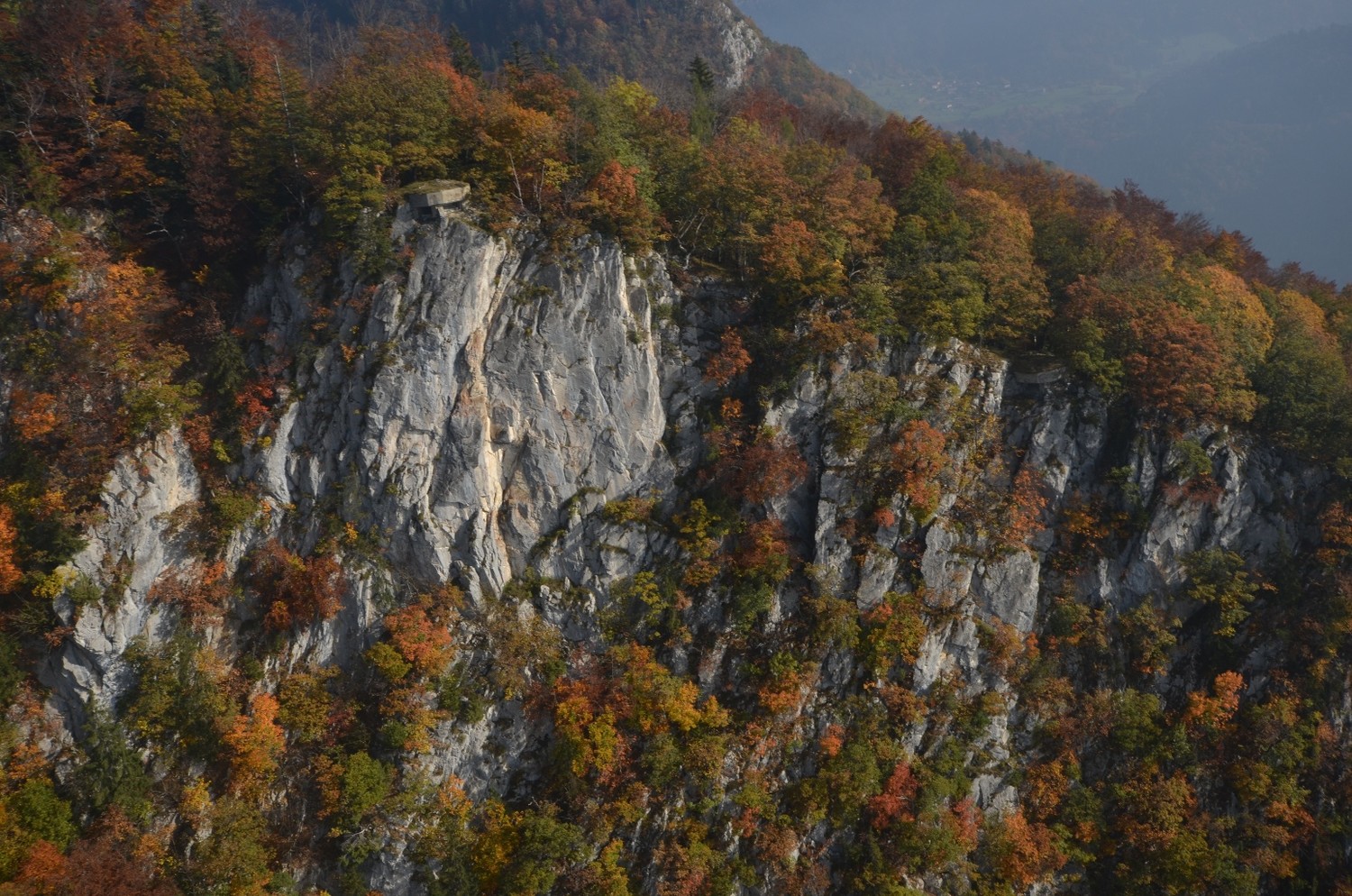 La falaise du bunker (Veyges)