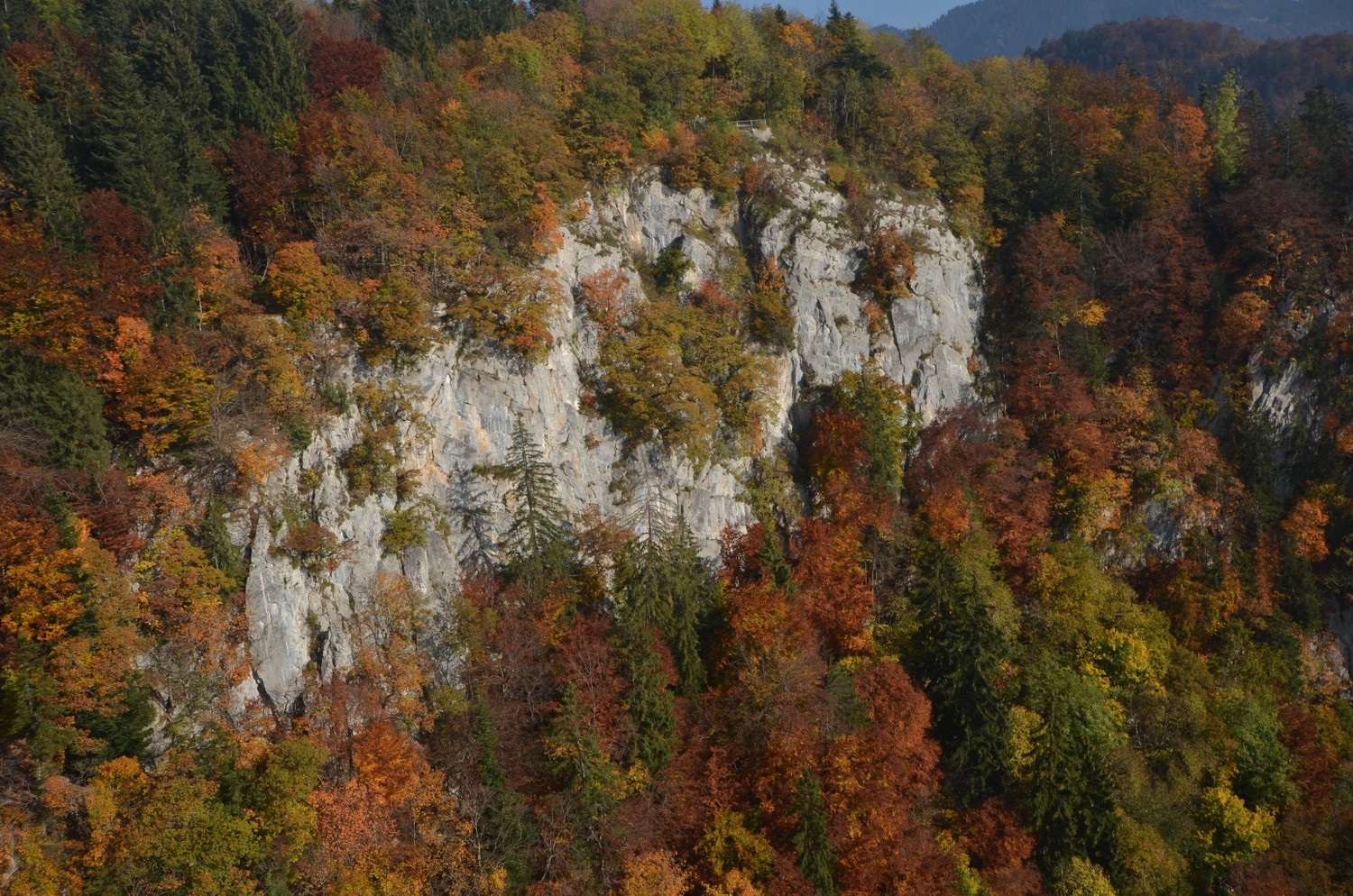 Falaise du Roc de Veyges (on remarque le point de vue en haut)