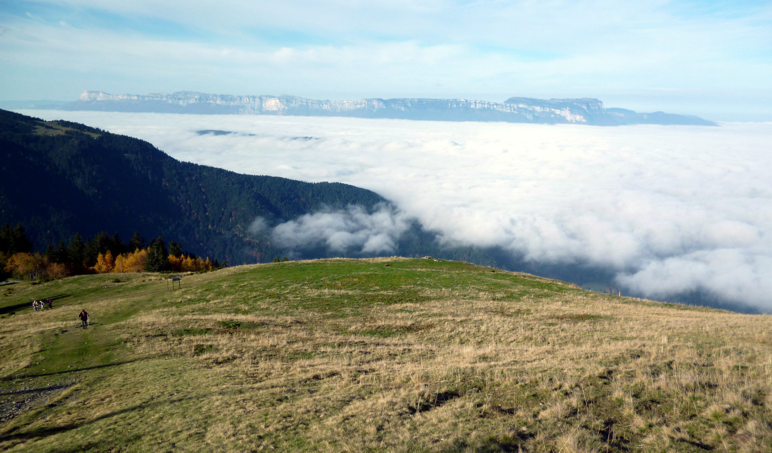 Grands Moulins: Valpelouse au soleil.