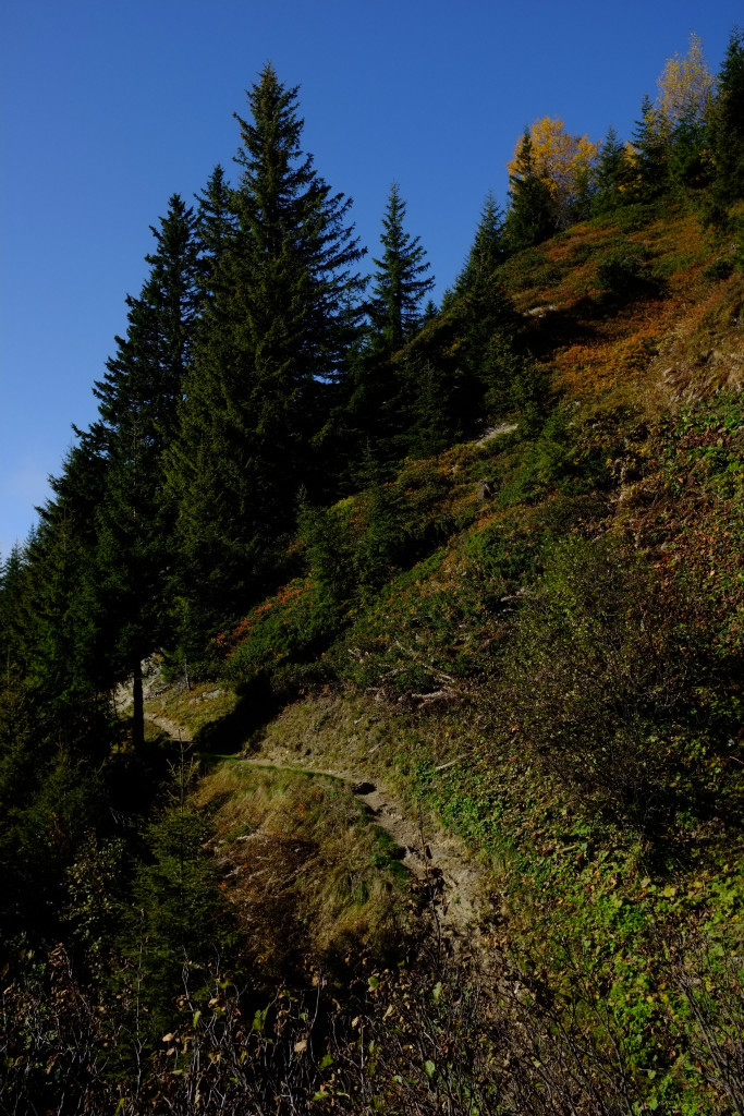 à flanc des Plagnes