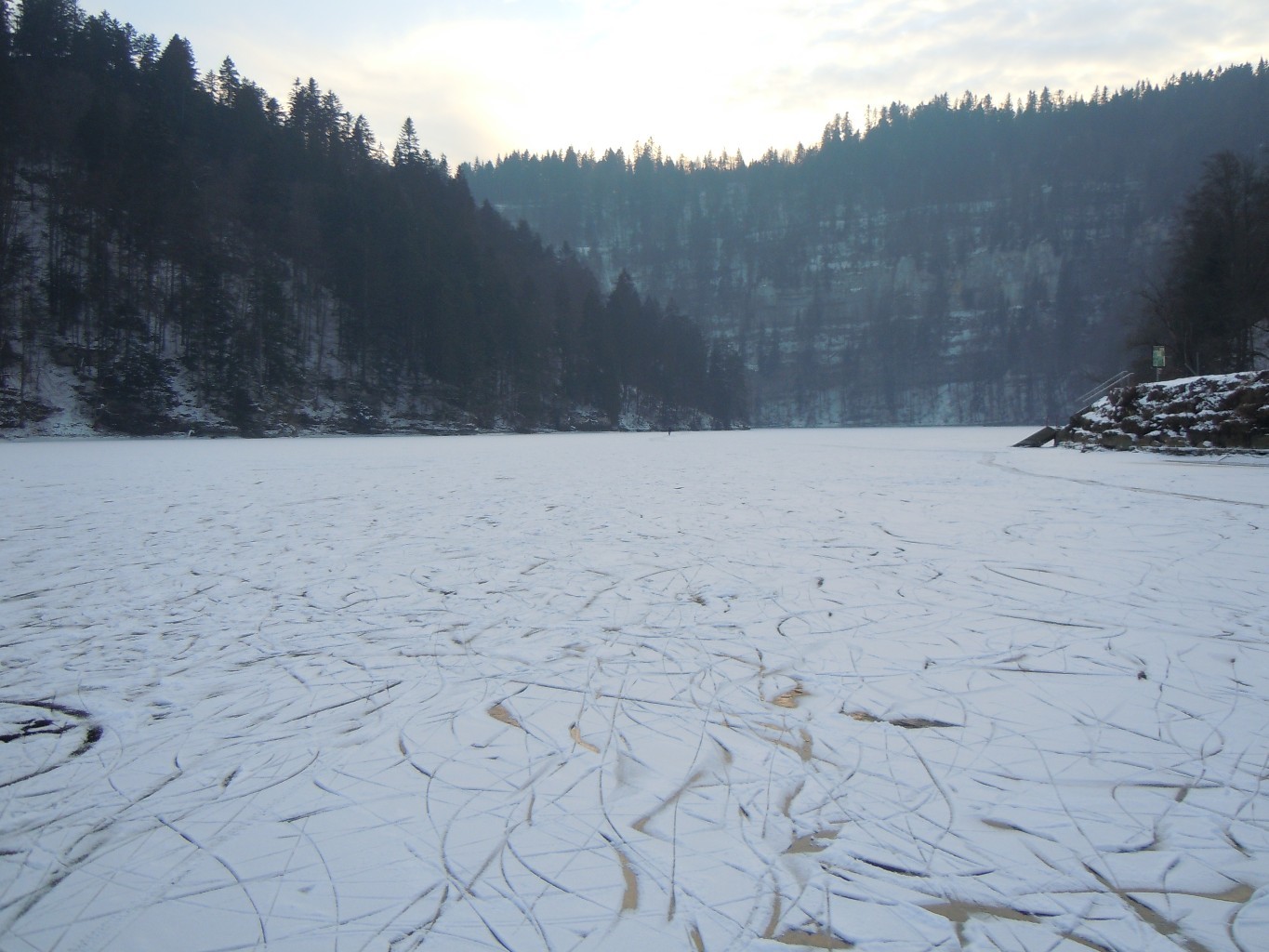 Bassin