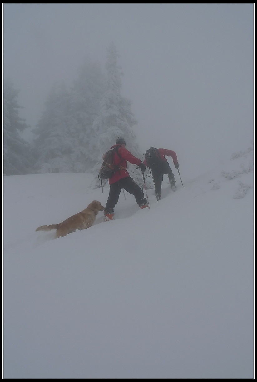 Grand rocher/gros brouillard, quelque part vers 1750m