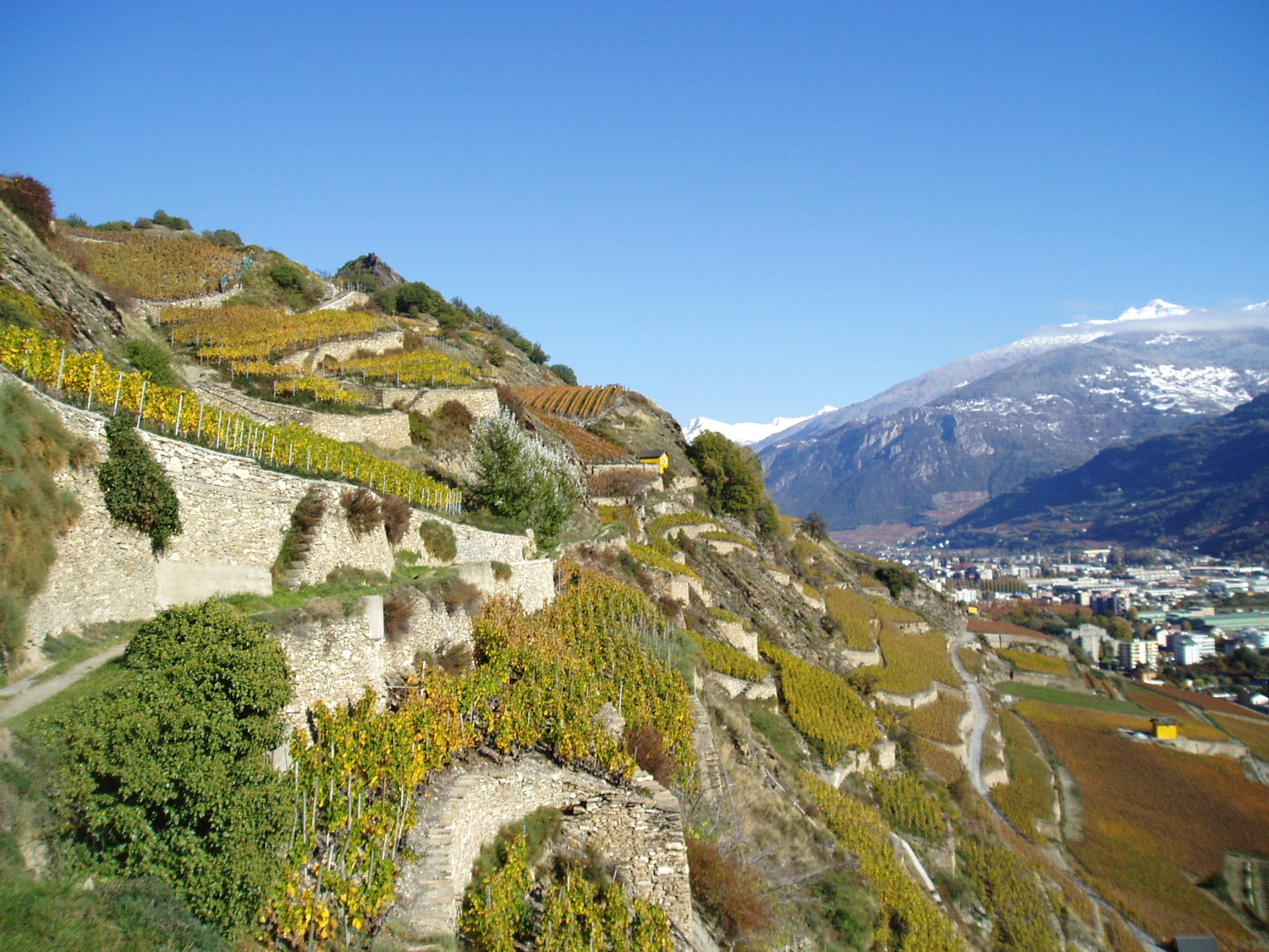 Bisse de Mont d'Orge