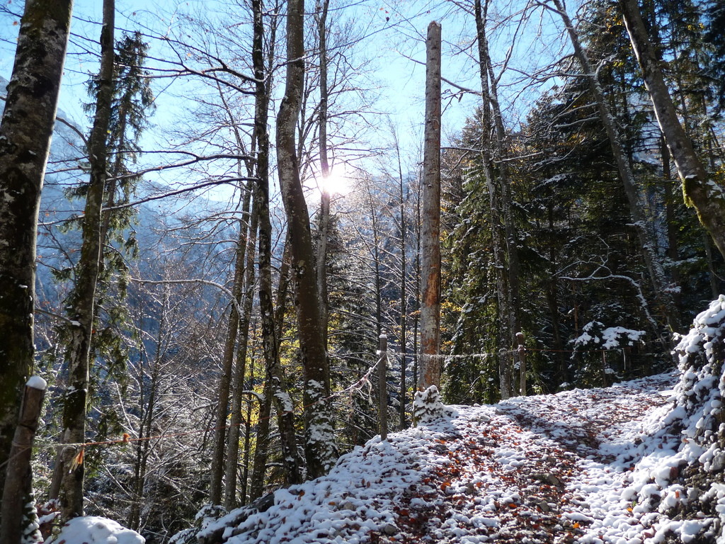 ambiance automnale au départ