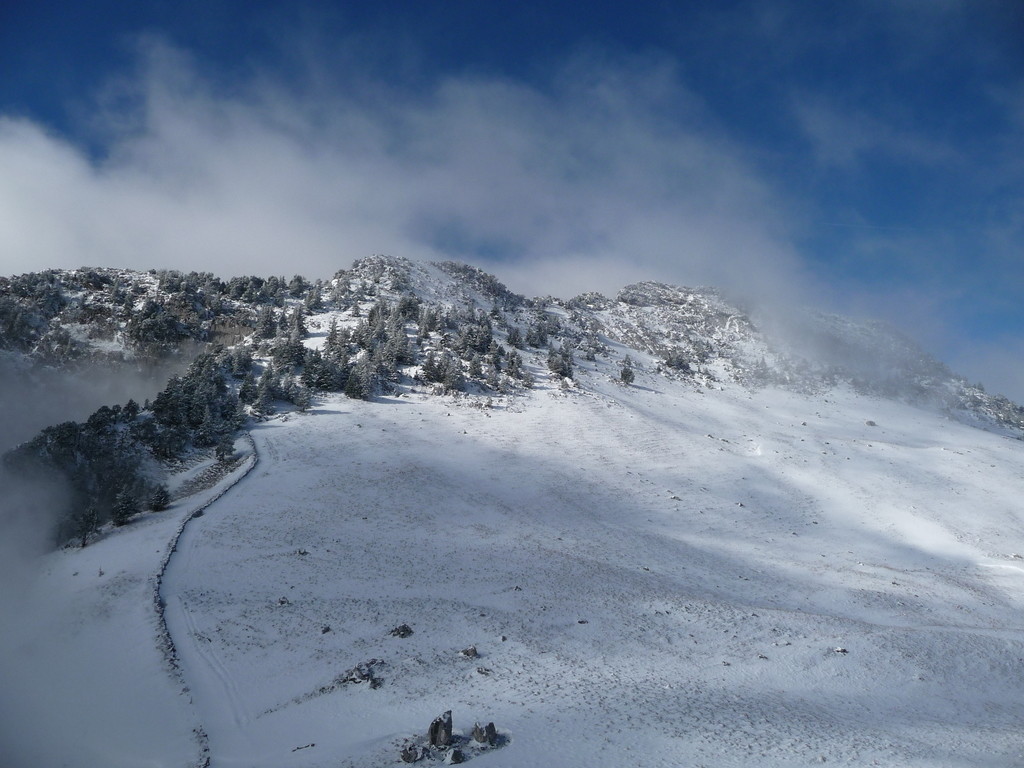 vue d'ensemble sur le lanfonnet