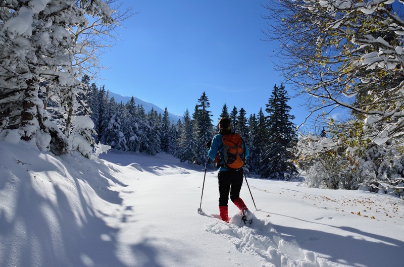 Une neige de carte postale !