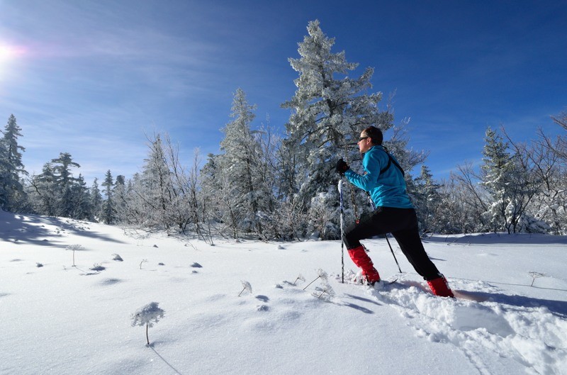 La neige s'épaissit, ça devient galère...