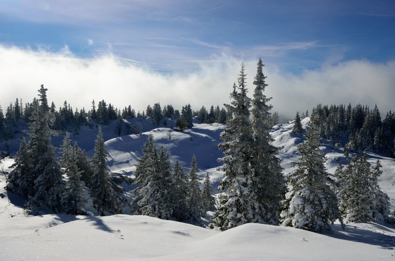 Au dessus du Grand Pot