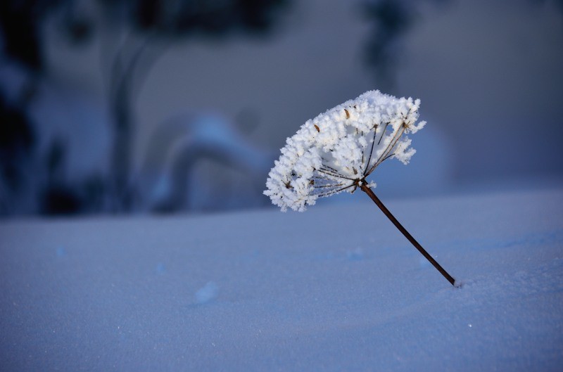 En fin de journée, la neige n'a guère fondu.
