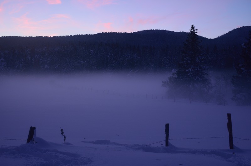 Brume en début de nuit