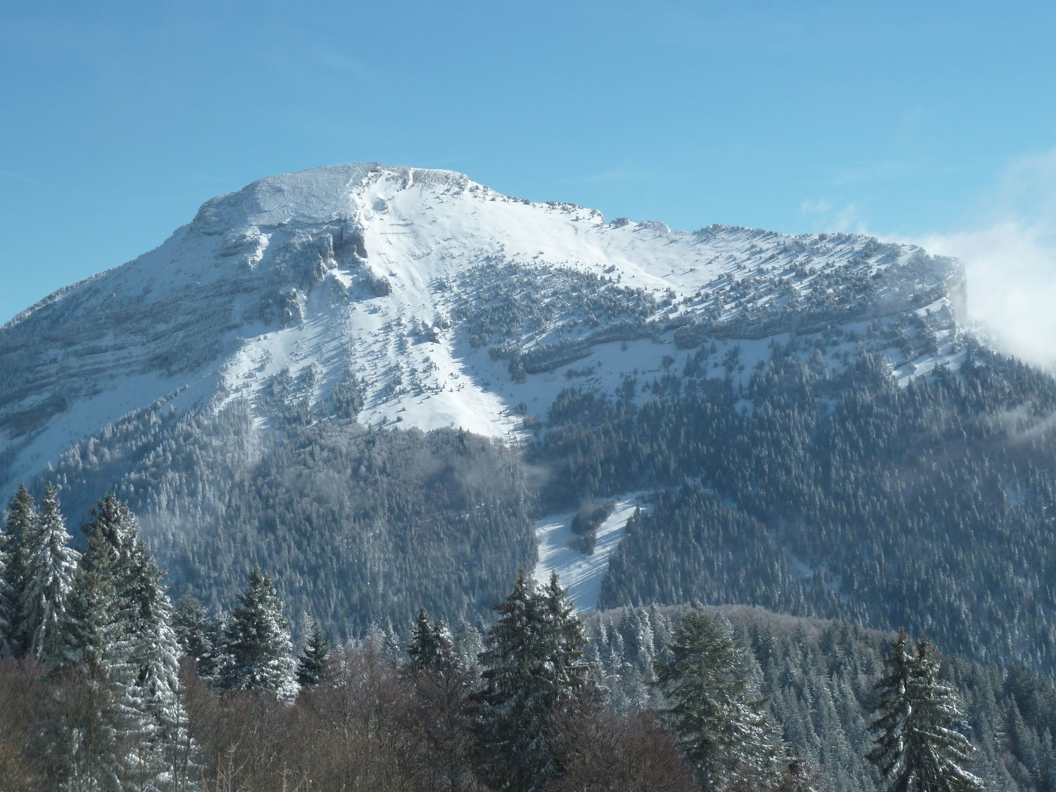 Chamechaude détail
