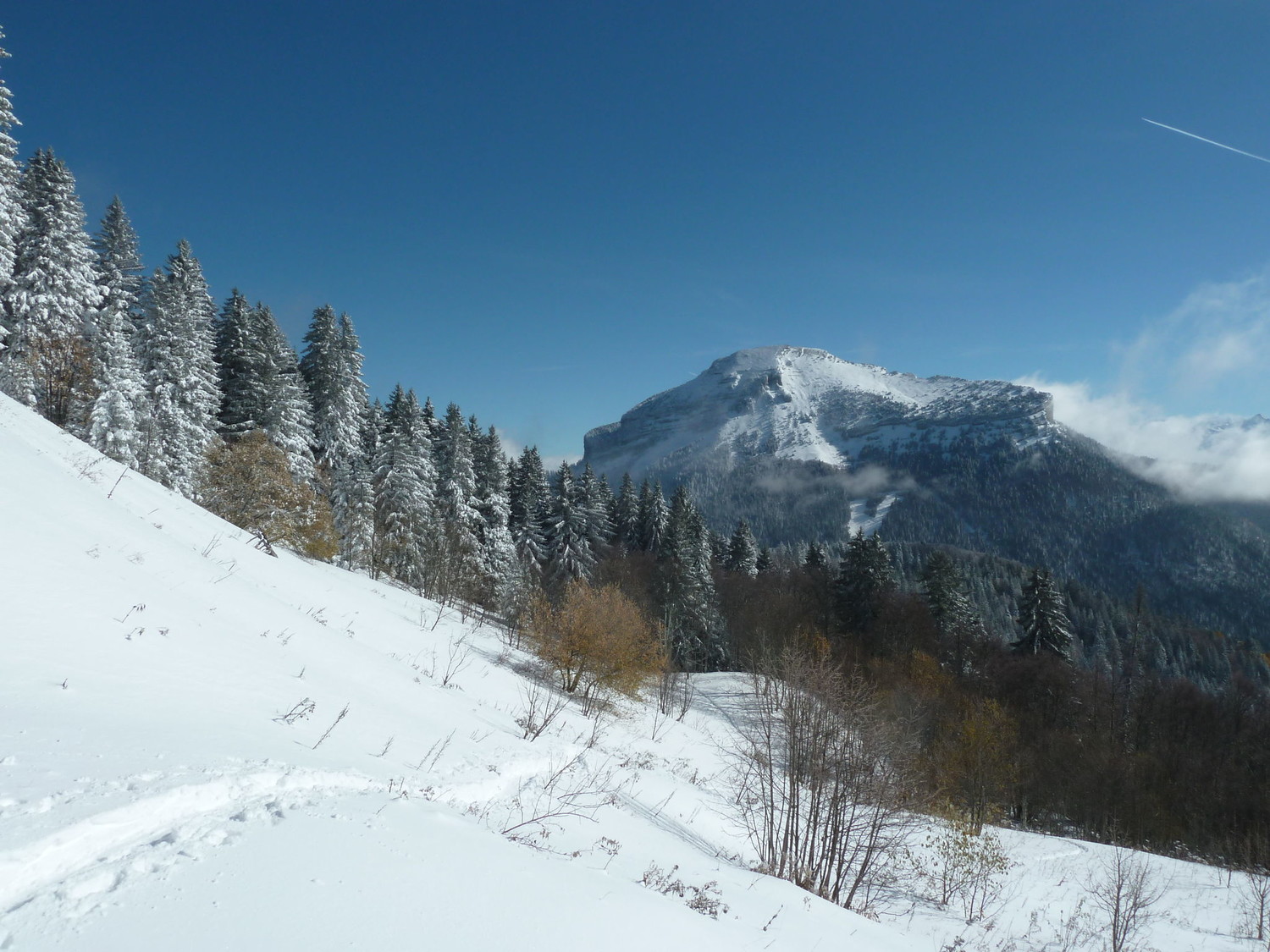 Chamechaude