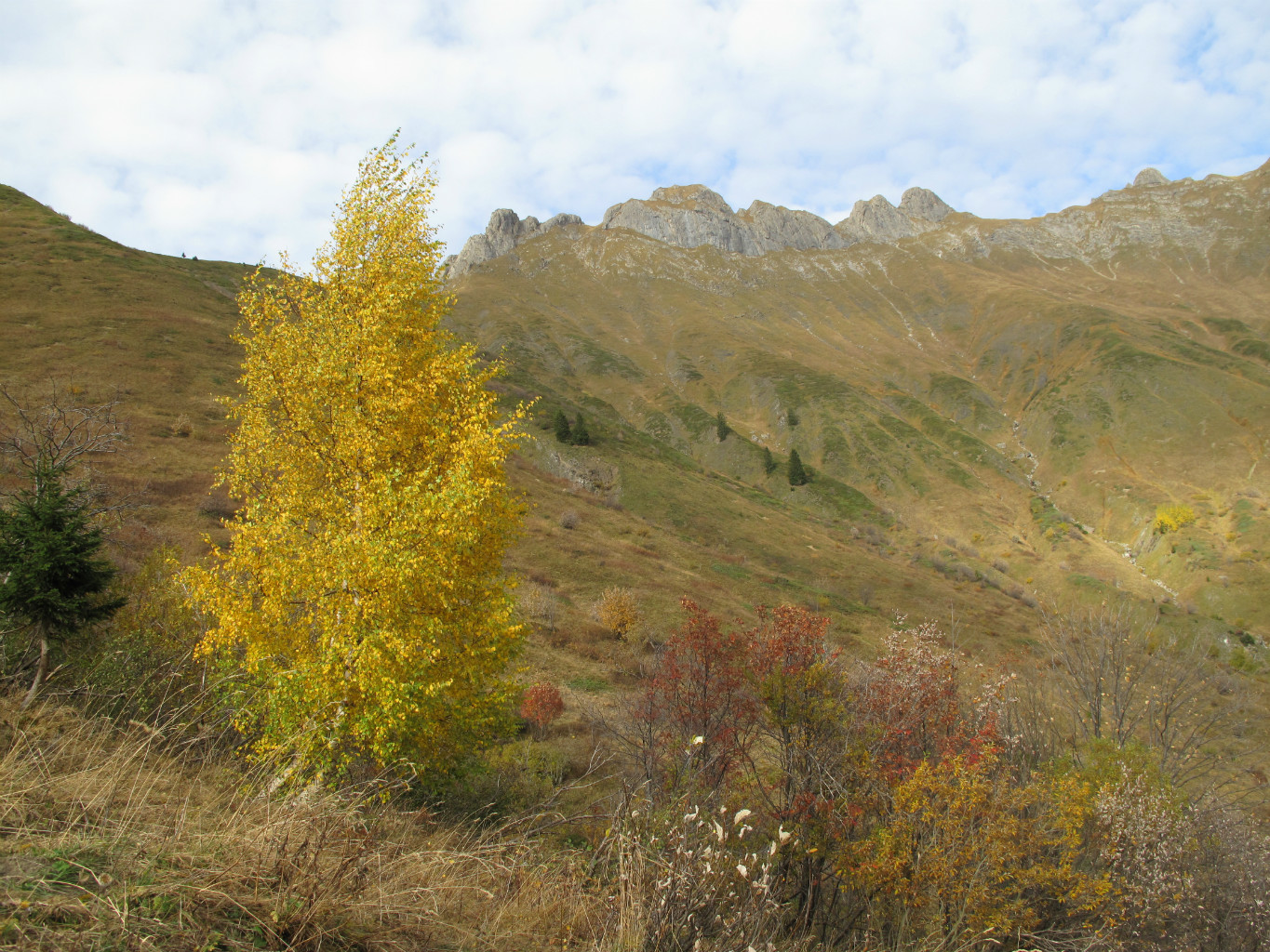 L'automne dans le vallon de Foron