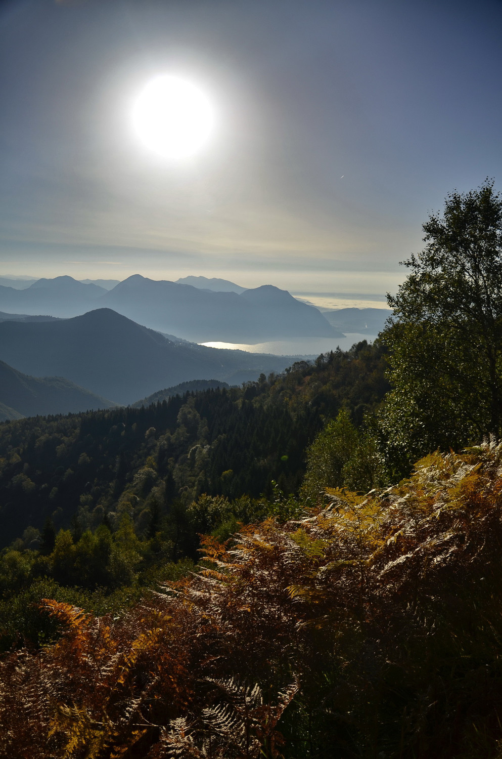 controluce verso il lago (foto Laco)