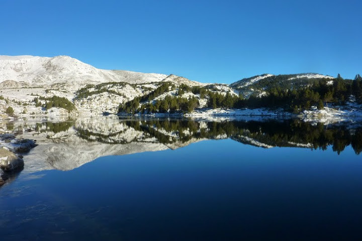 Estany de la Comassa