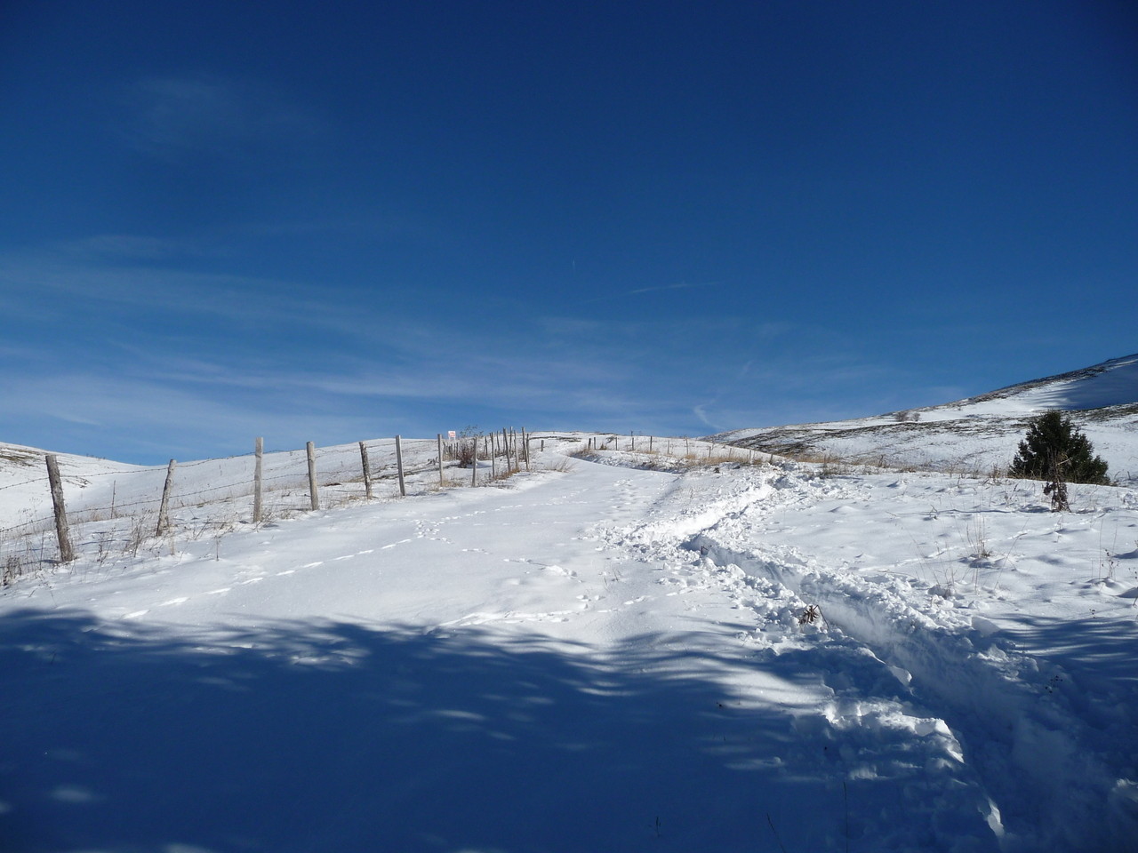 arrivée au col vers la molliettaz