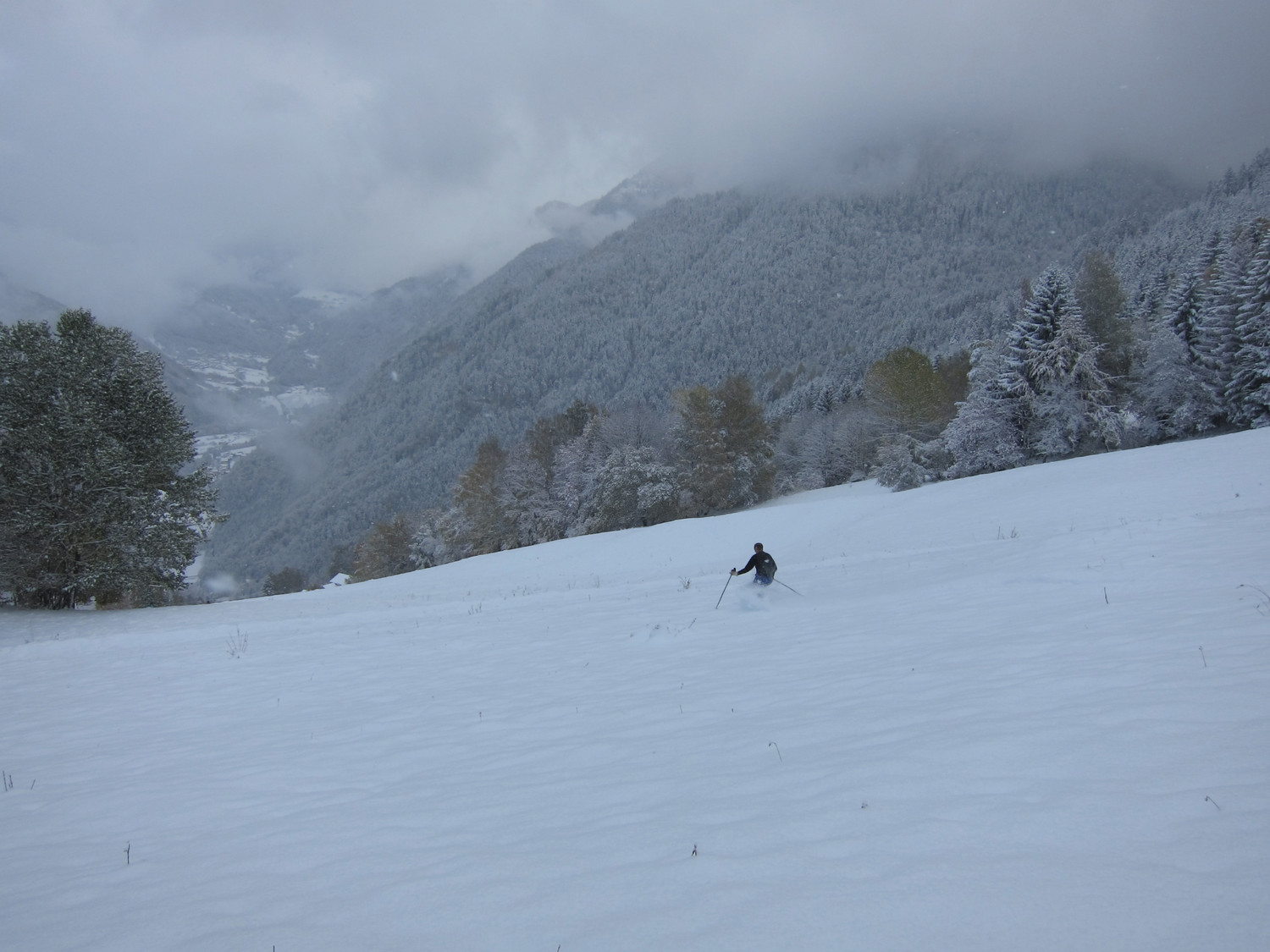 vert et blanc