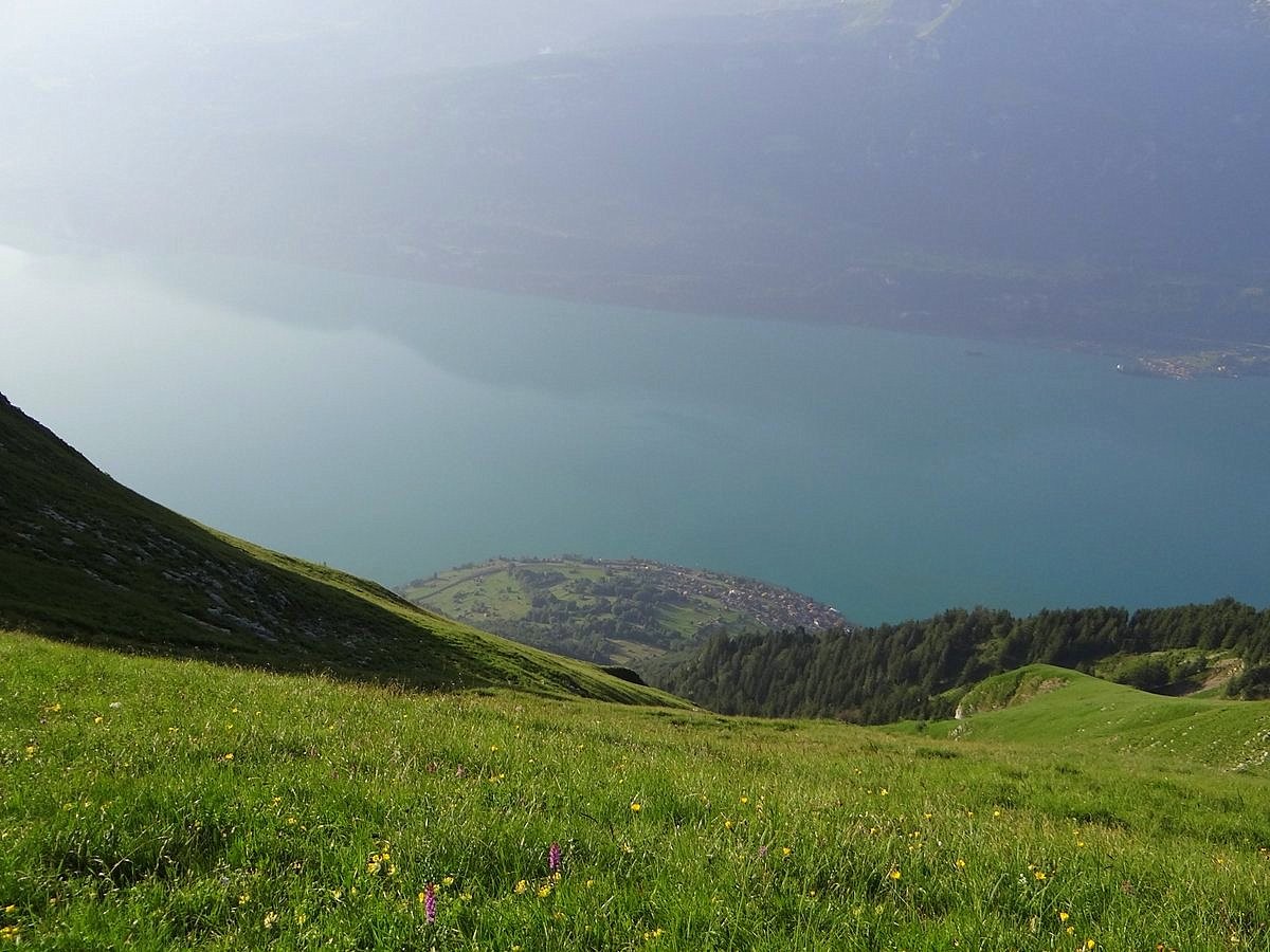 Vue sur le Brienzersee