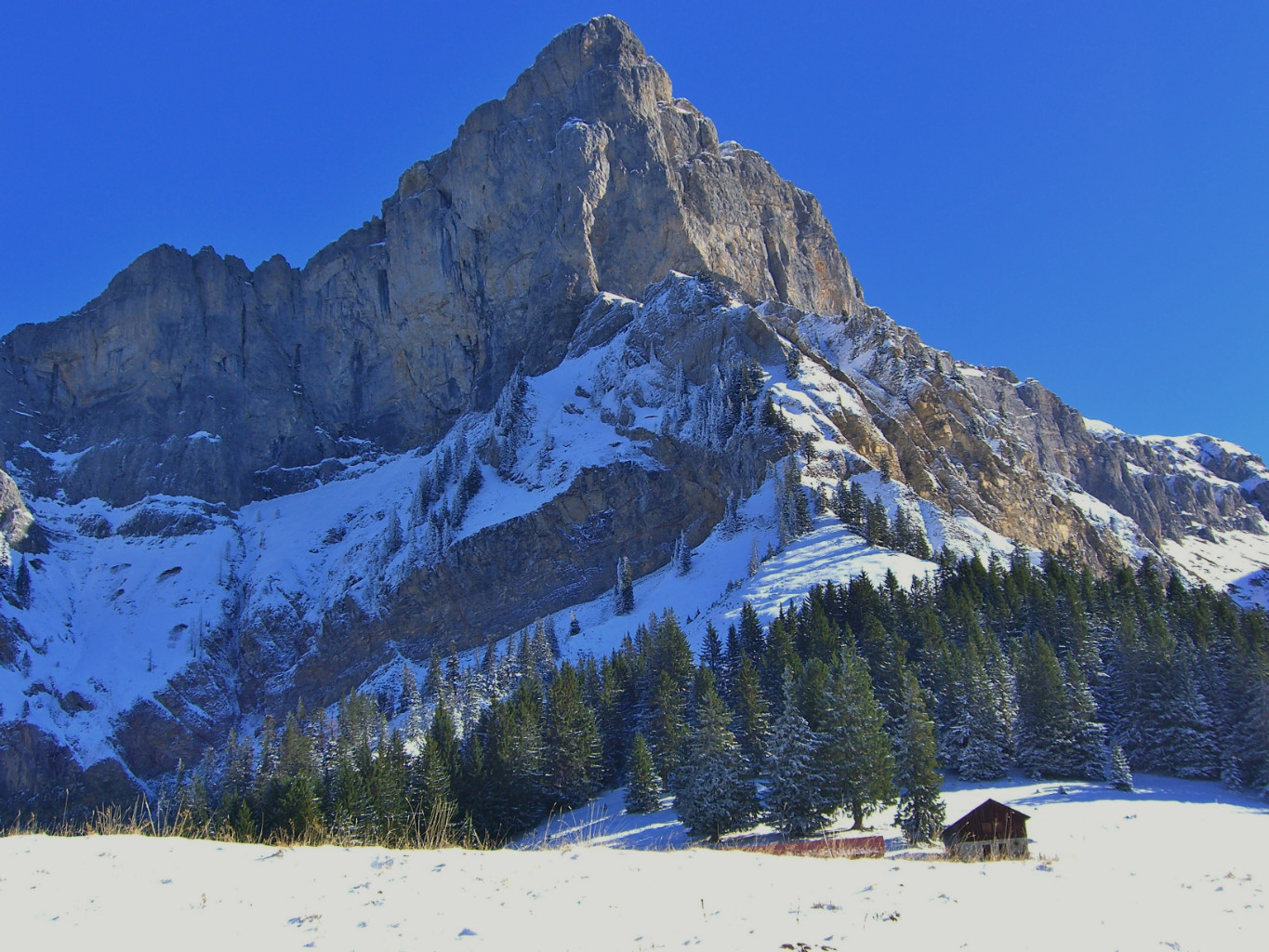 Tête de Lassy - La Croix de Fer