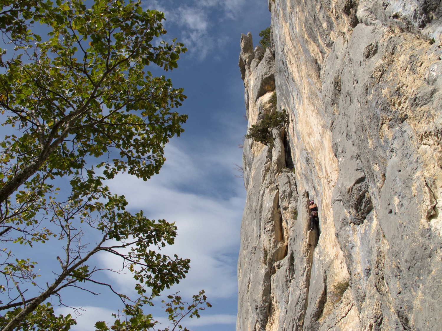 Thao du Lux (6a) Force Roz prend la mesure des choses
