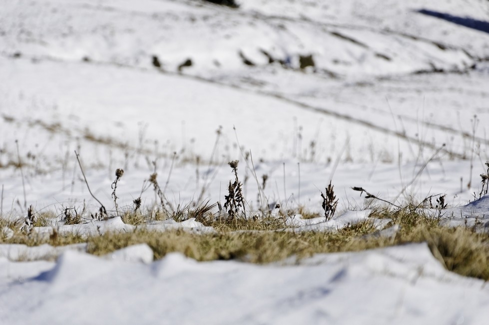 Vestiges de l'été