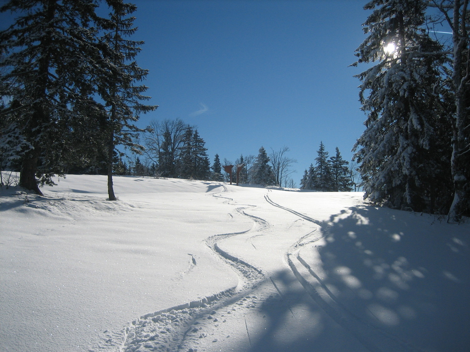 Premières traces