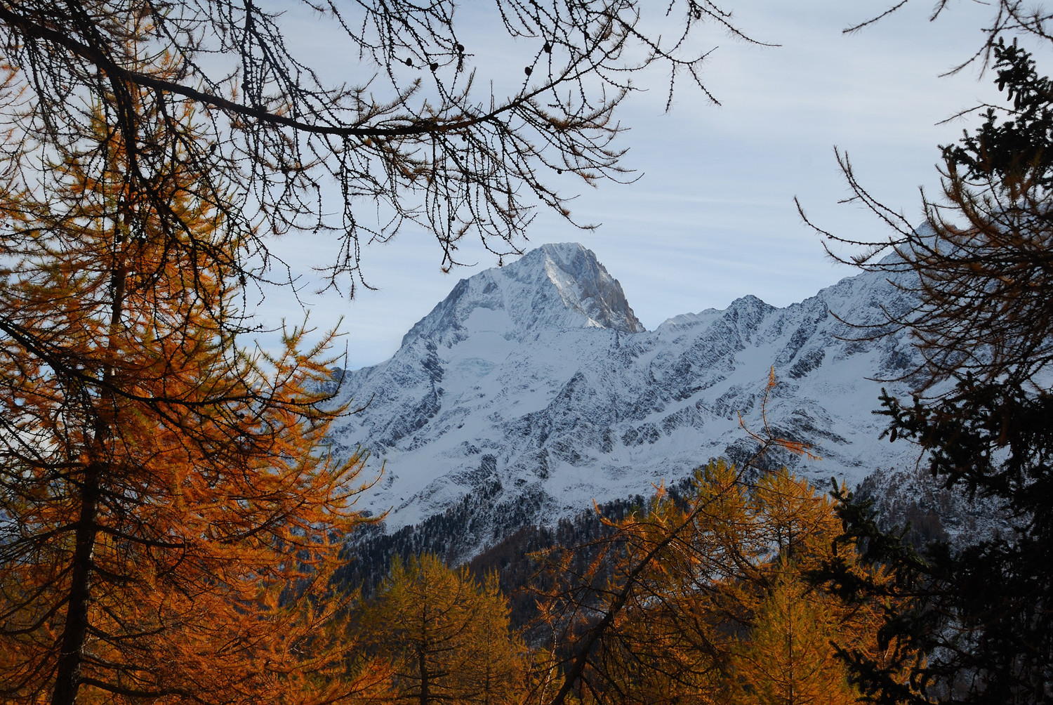 SM le Bietschhorn...