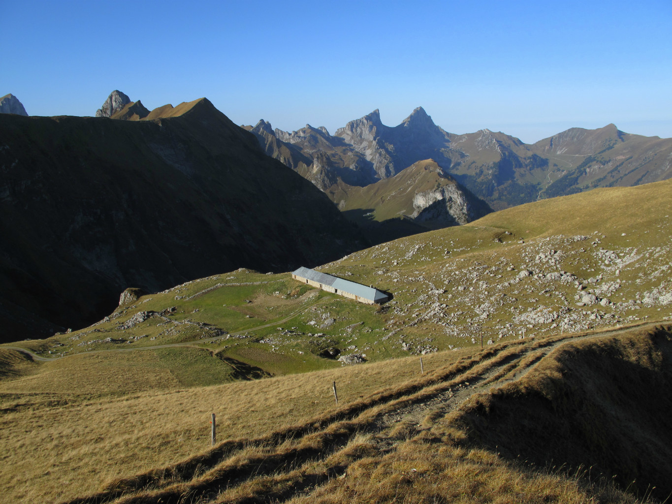 L'alpage de Voyis, sur fond de Dent d'Oche